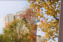自考:最快多久毕业?-西南交通大学自考